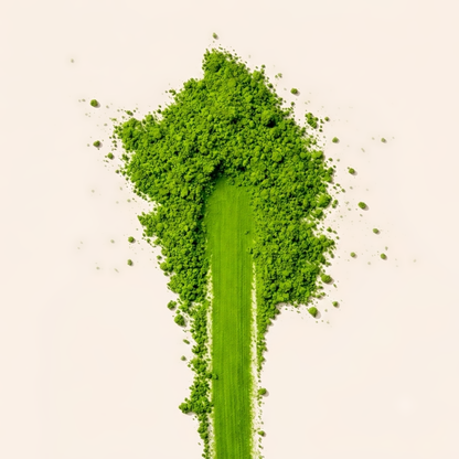 Hazuki — First Harvest Matcha (2026)